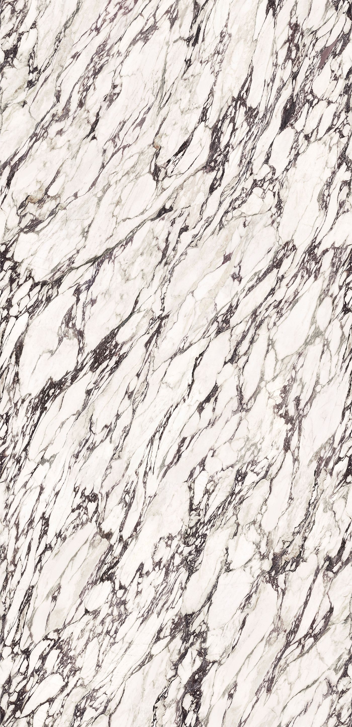 Calacatta Viola, Neolith